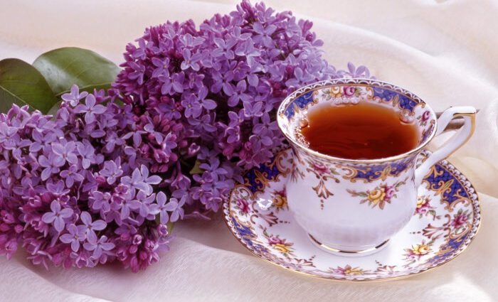 Preparation and use of lilac tincture on vodka (alcohol)