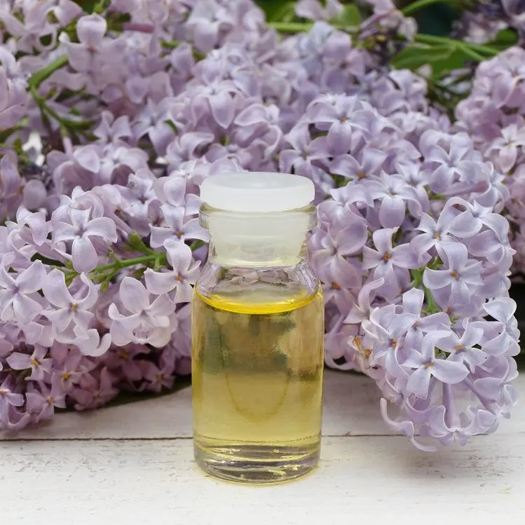 Preparation and use of lilac tincture on vodka (alcohol)