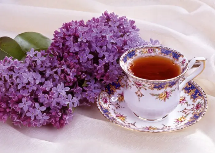 Preparation and use of lilac tincture on vodka (alcohol)