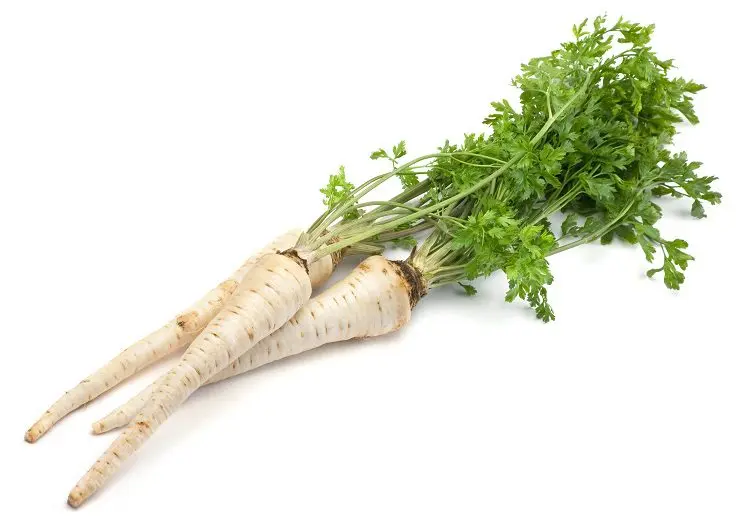 Preparation and use of medicinal tincture of parsley