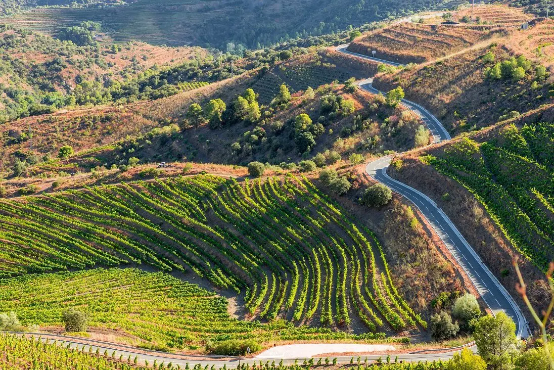 Priorat wine &#8211; Spanish &#8220;stone drinks&#8221;