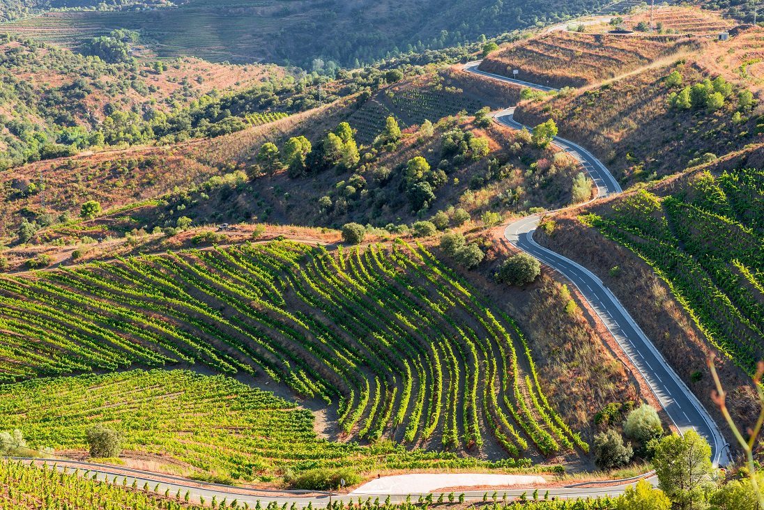 Priorat wine &#8211; Spanish &#8220;stone drinks&#8221;