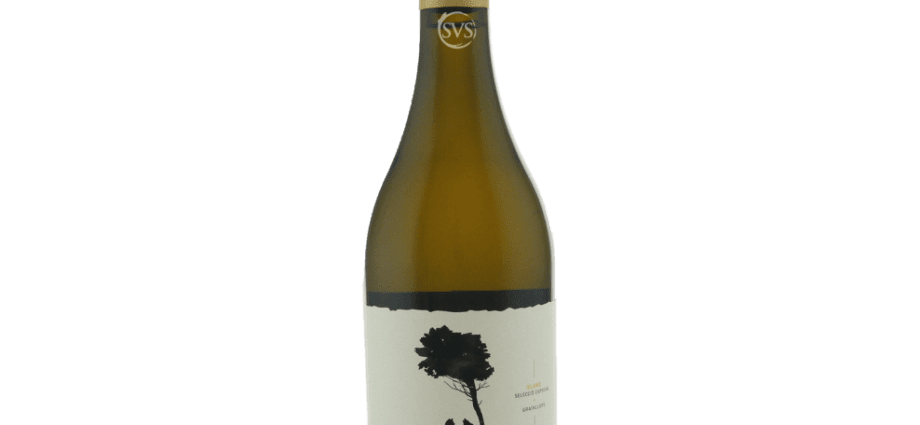 Priorat wine &#8211; Spanish &#8220;stone drinks&#8221;