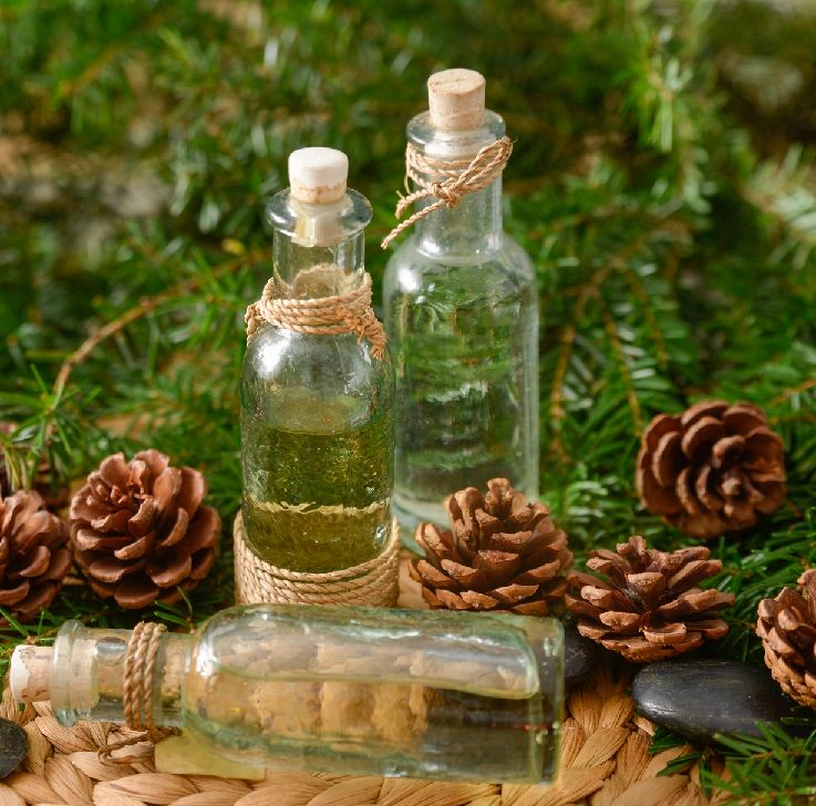 Production and use of tinctures from spruce cones and needles