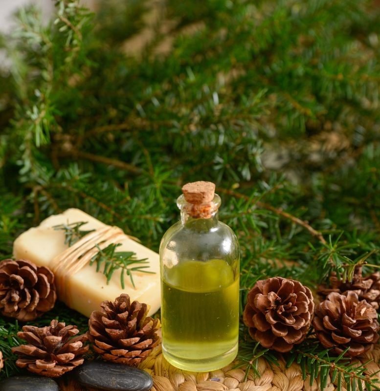 Production and use of tinctures from spruce cones and needles