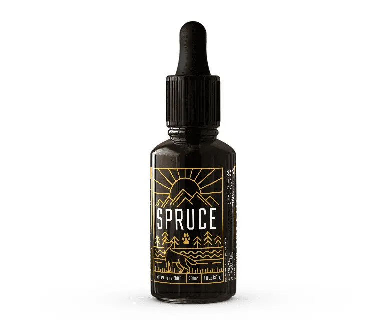 Production and use of tinctures from spruce cones and needles