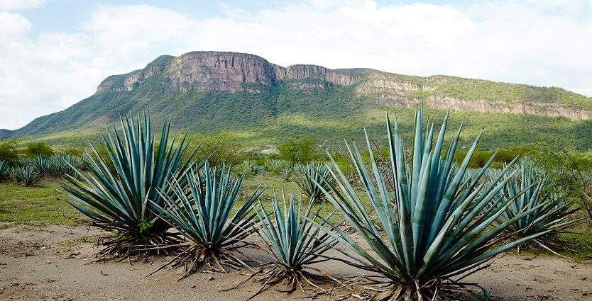 12 Spectacular Hikes on Maui