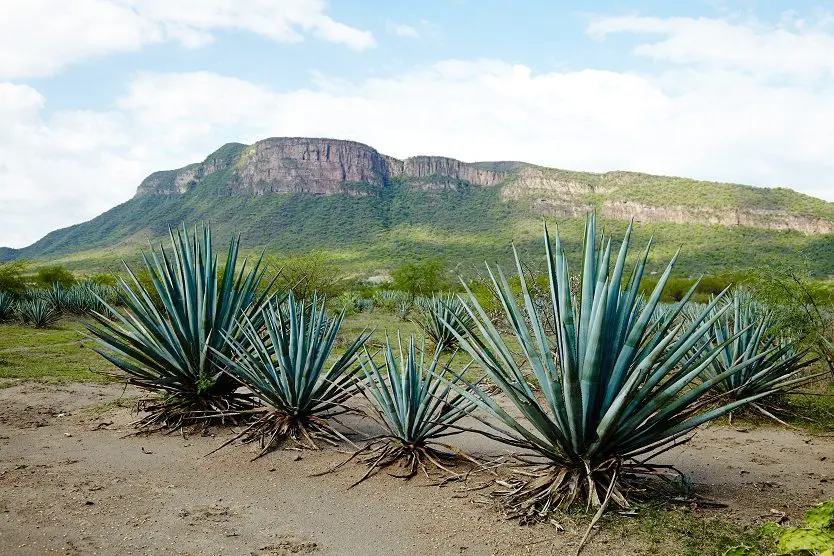 12 Spectacular Hikes on Maui