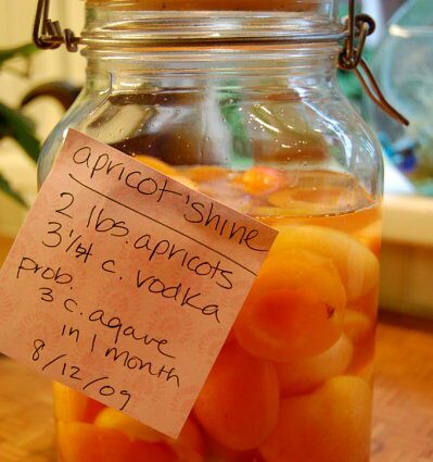 Proper apricot moonshine