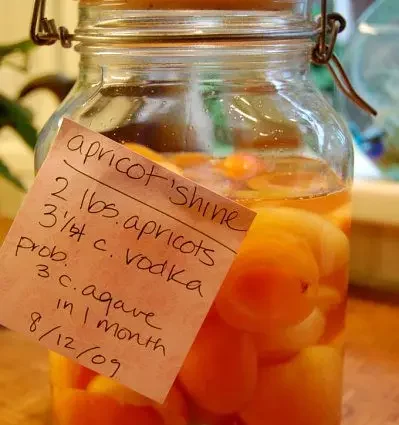 Proper apricot moonshine