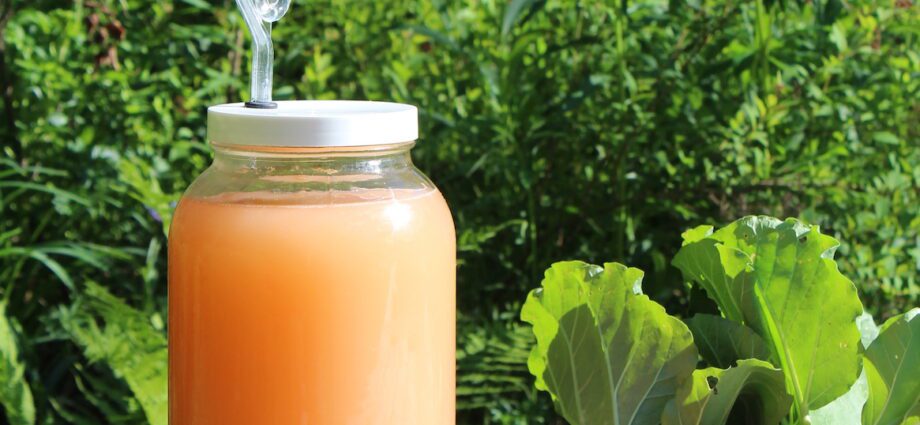 Proper homemade rhubarb wine (no herbal flavor)