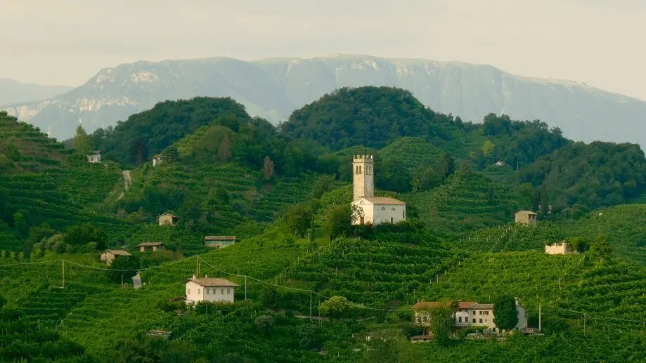 Prosecco (Prosecco) &#8211; sparkling wine from Italian masters