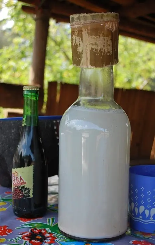 Pulque &#8211; the &#8220;ancestor&#8221; of tequila and mezcal