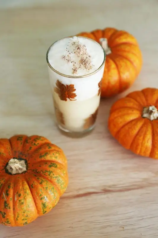 Pumpkin tincture: 3 recipes at home