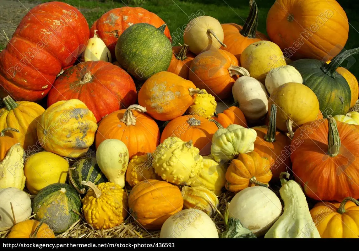 pumpkin with variations