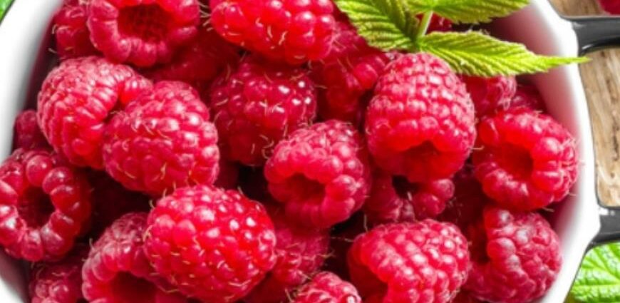 Raspberry tincture: 5 recipes at home