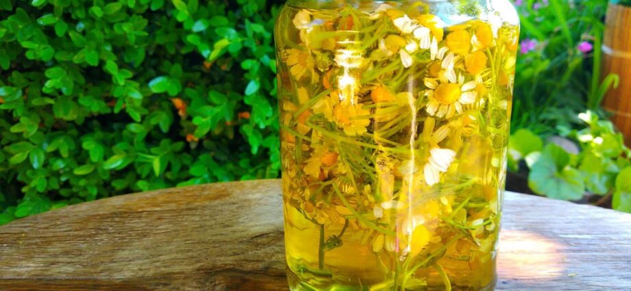 Recipe and application of chamomile tincture