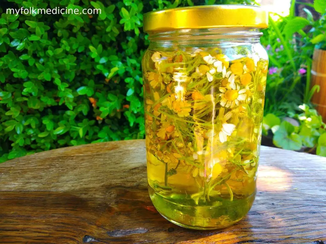 Recipe and application of chamomile tincture