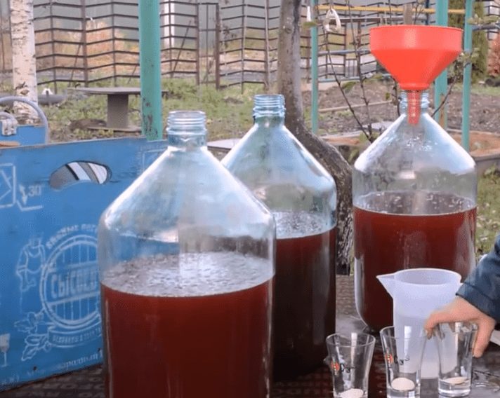 Recipe for apple wine according to the technology of winemakers