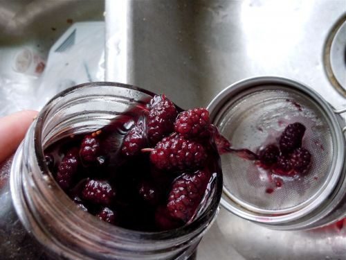 Recipe for mulberry tincture on vodka, alcohol, moonshine