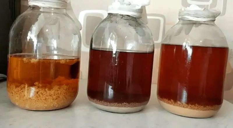 Recipes for homemade hawthorn wine &#8211; simple and not very