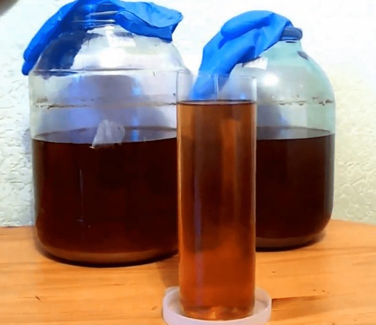 Recipes for homemade hawthorn wine &#8211; simple and not very