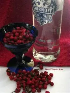 Recipes for rosehip tinctures on vodka, alcohol and moonshine