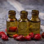 Recipes for rosehip tinctures on vodka, alcohol and moonshine