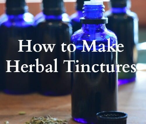 Recipes for spicy tinctures &#8211; when the benefits of alcohol are obvious