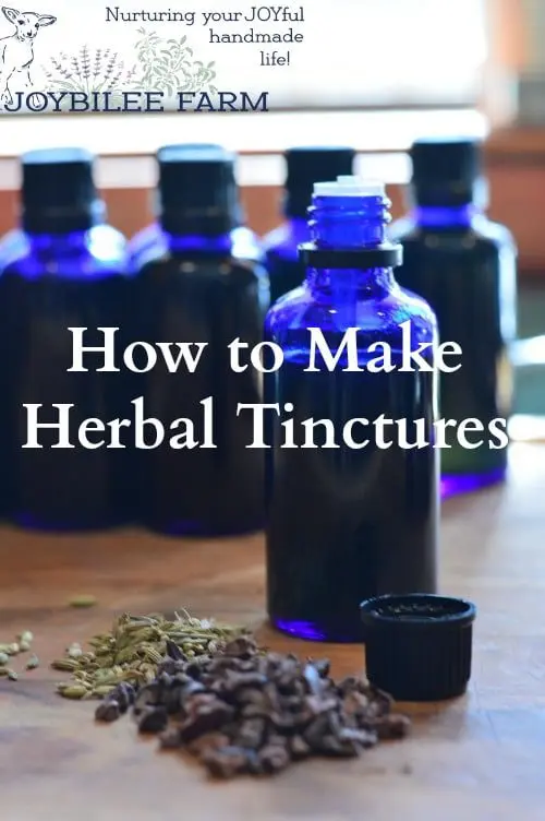 Recipes for spicy tinctures &#8211; when the benefits of alcohol are obvious