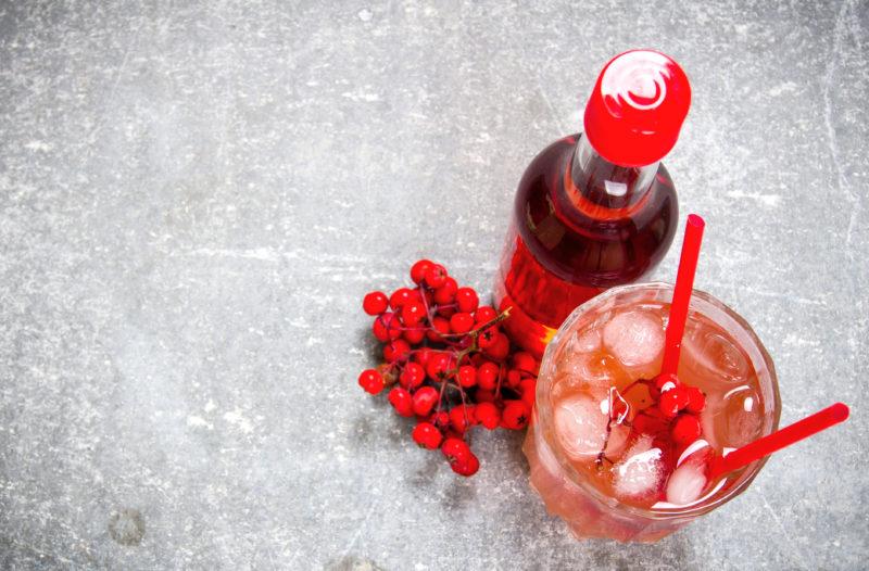 Red rowan liqueur &#8211; 4 recipes for vodka, alcohol and cognac