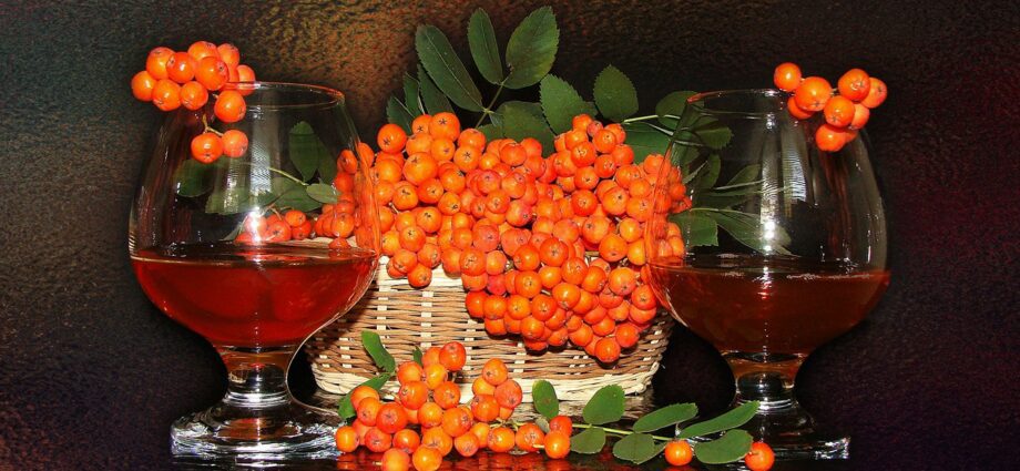 Red rowan liqueur &#8211; 4 recipes for vodka, alcohol and cognac