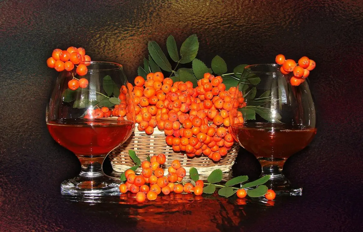 Red rowan liqueur &#8211; 4 recipes for vodka, alcohol and cognac