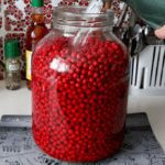 Red rowan liqueur &#8211; 4 recipes for vodka, alcohol and cognac