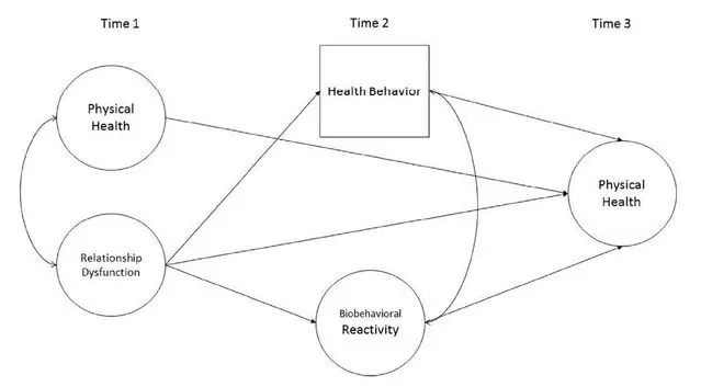 Relationship quality affects life expectancy