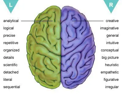 Right-handers and left-handers: whose brain works faster?