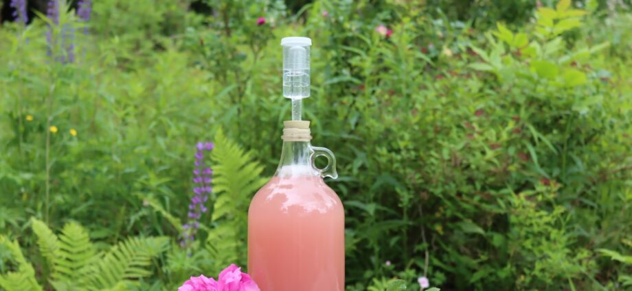 Rose petal wine at home &#8211; a universal recipe