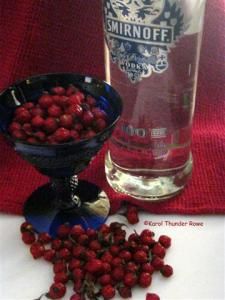 Rosehip tincture and liquor: 4 recipes at home