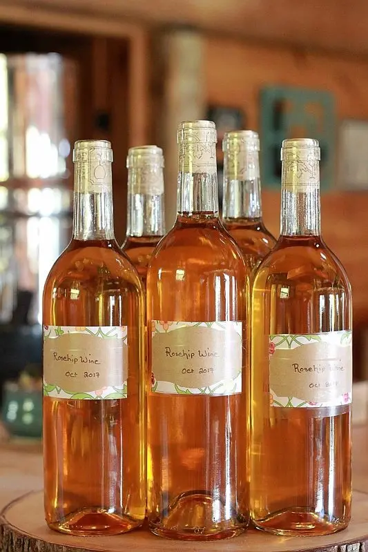 Rosehip wine at home from fresh and dried fruits