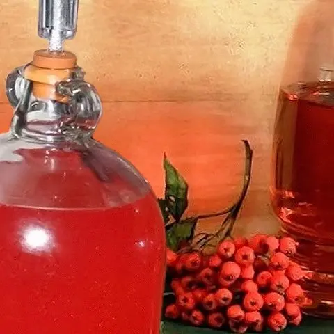 Rowan tincture: 6 recipes at home