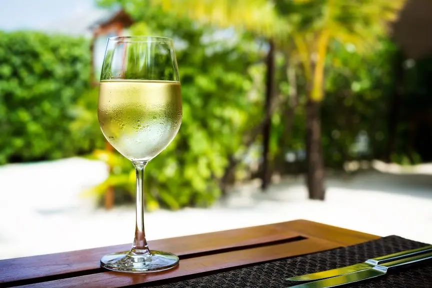 Sauvignon Blanc is a famous family of white wines.