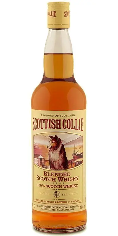 Scottish Collie (Scottish Collie)