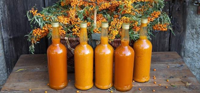 Sea buckthorn homemade wine