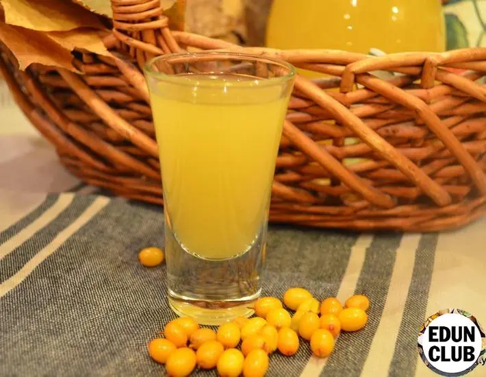 Sea buckthorn tincture: 3 recipes at home