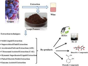 Secondary wine from pomace (pulp) of grapes or apples