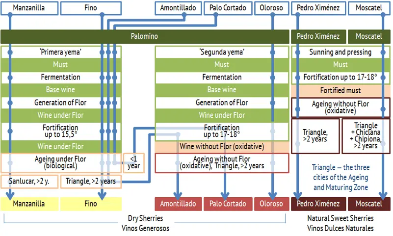 Sherry (Sherry) &#8211; production, history, types, how to drink it