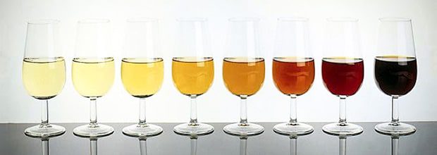 Sherry: what it is, types, how to drink + 9 popular Spanish brands