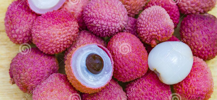 Simple tincture of lychee (Chinese plum) berries