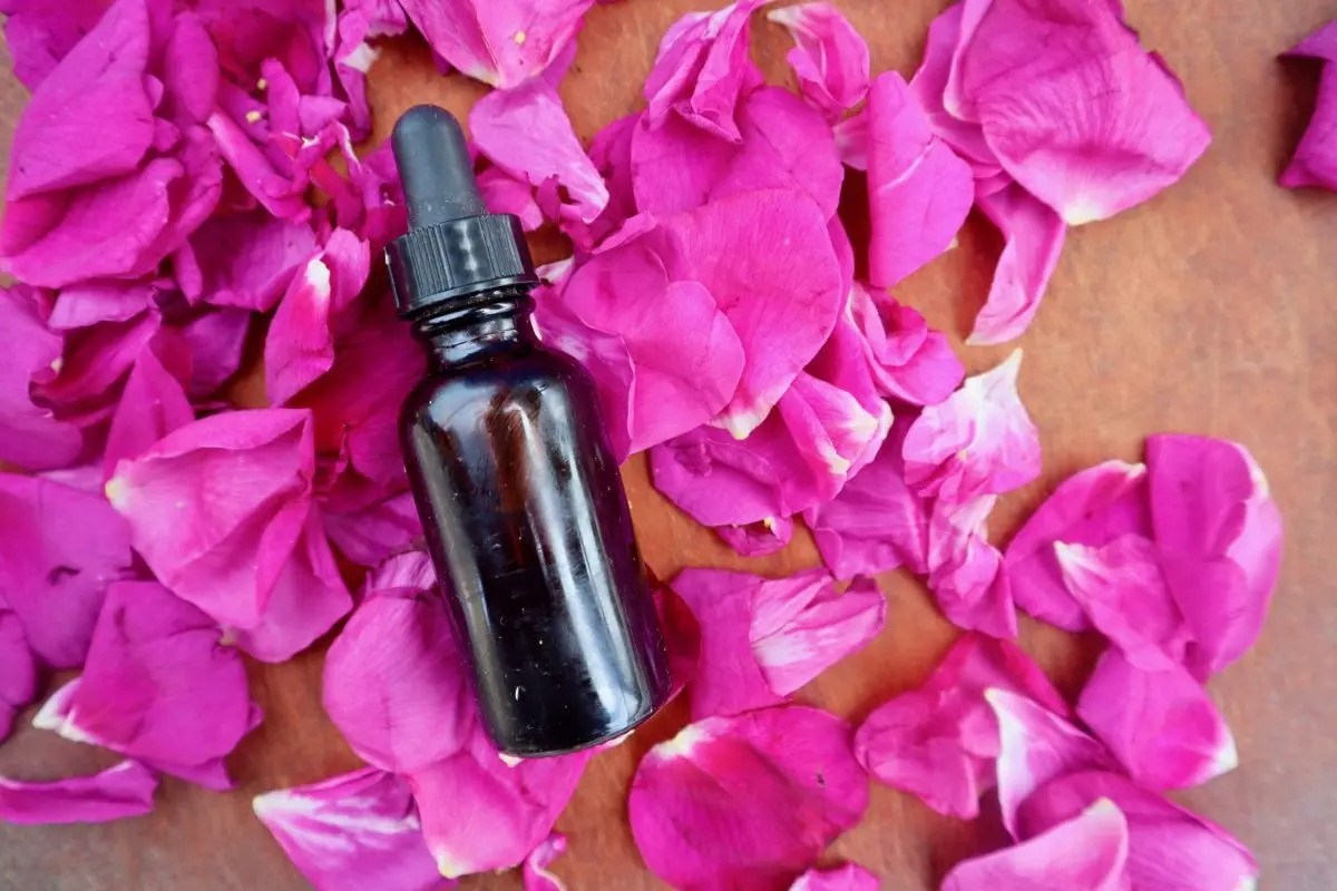 Simple tincture of tea rose petals