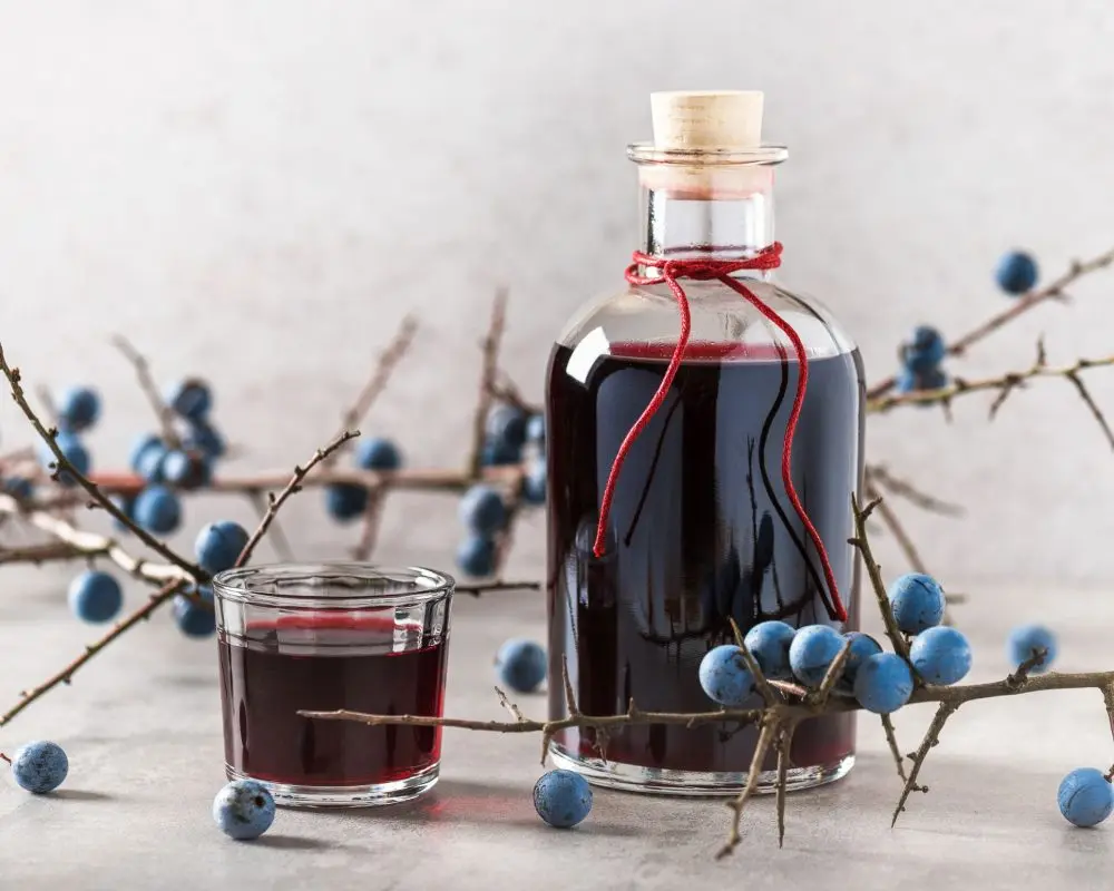 Sloe gin &#8211; homemade sloe gin